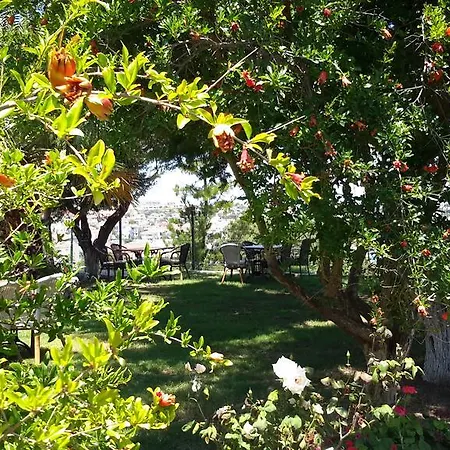 Dalyan Kucuk Ev Butik Bed and Breakfast *