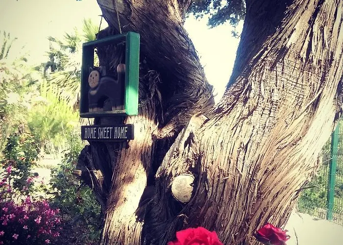 Dalyan Kucuk Ev Butik * Cesme