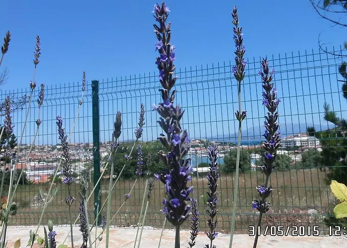 Bed & Breakfast Dalyan Kucuk Ev Butik