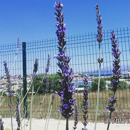 Dalyan Kucuk Ev Butik Panzió *