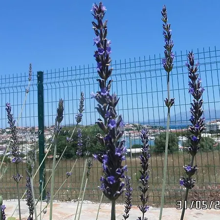 Oda ve Kahvaltı Dalyan Kucuk Ev Butik